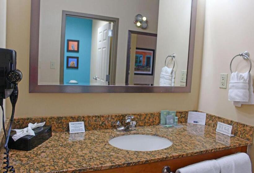 جناح غرفتين نوم, Best Western Cannon A.f.b