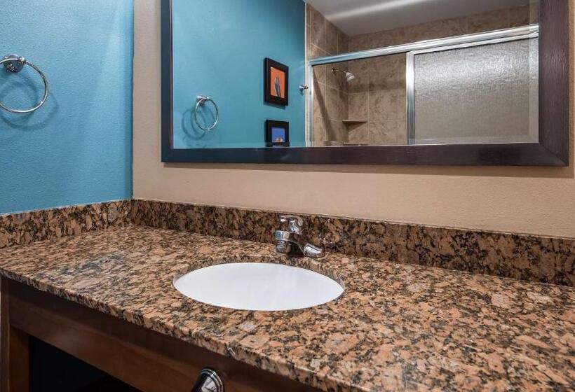 غرفة قياسية سرير كينج, Best Western Cannon A.f.b