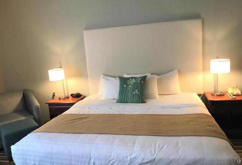 غرفة قياسية سرير كينج, Best Western Plus New England Inn & Suites