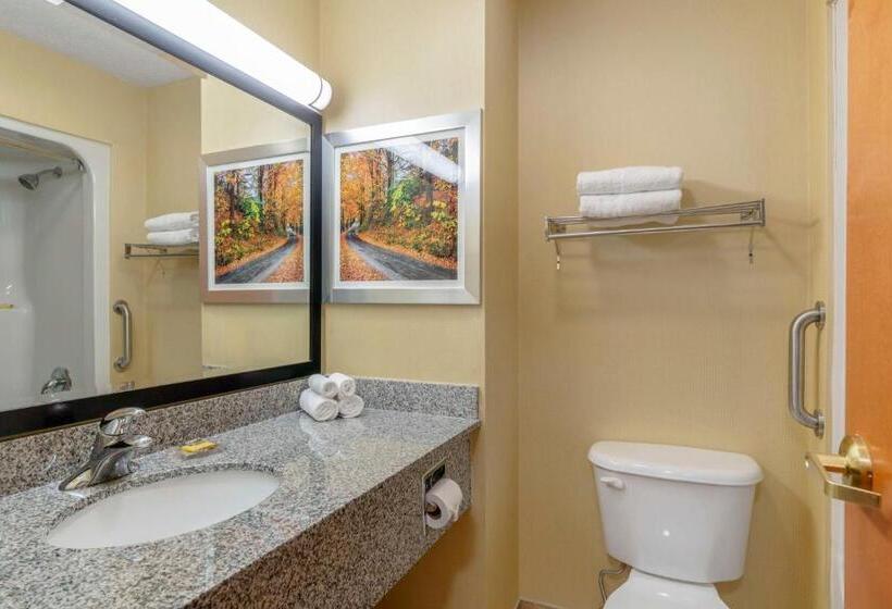스탠다드 룸 킹사이즈 침대, Best Western Plus New England Inn & Suites