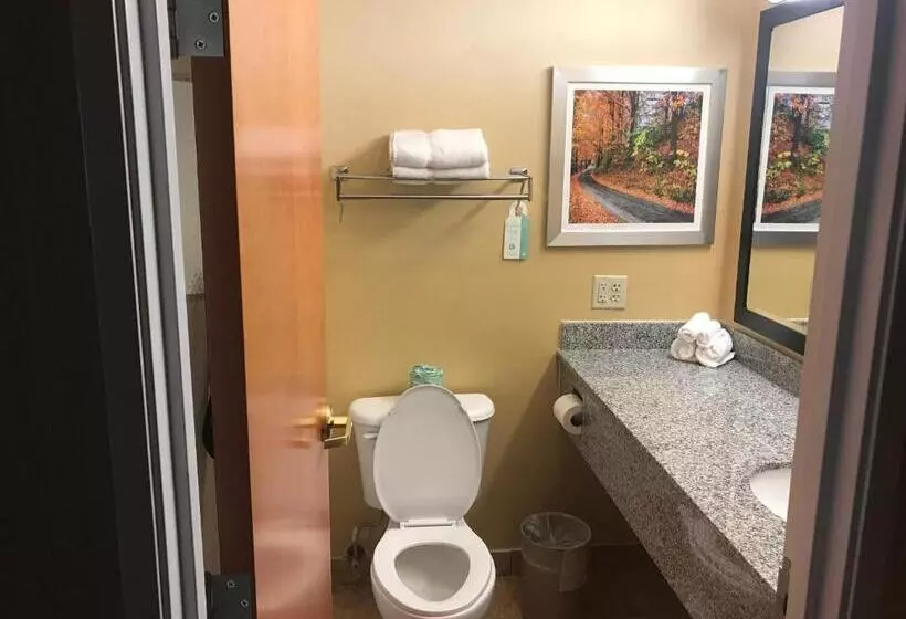 Standard-huone, Best Western Plus New England Inn & Suites