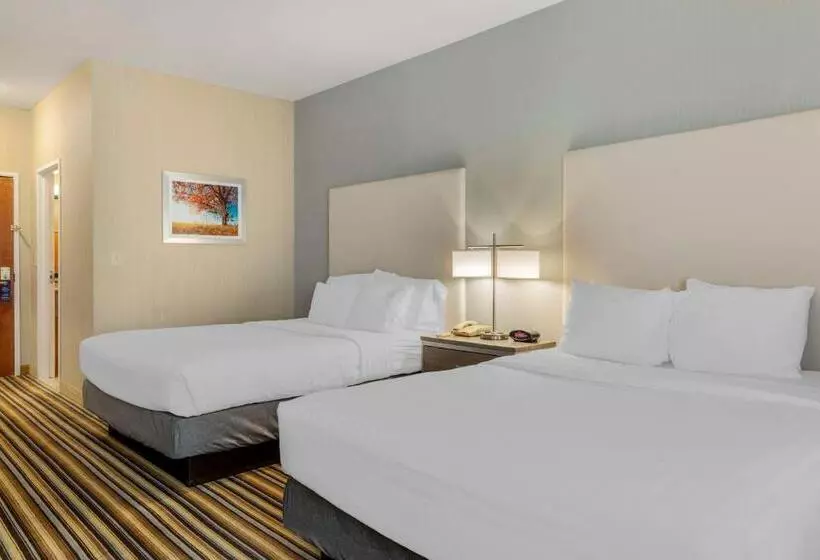 Standard-huone, Best Western Plus New England Inn & Suites