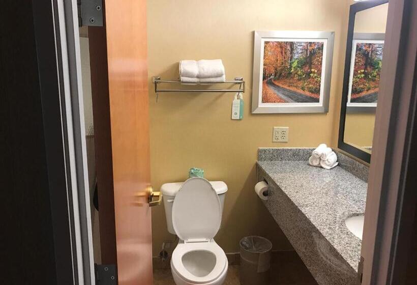 جناح سرير كينج, Best Western Plus New England Inn & Suites