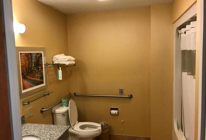 장애인을 위한 킹사이즈 침대 스탠다드 룸, Best Western Plus New England Inn & Suites