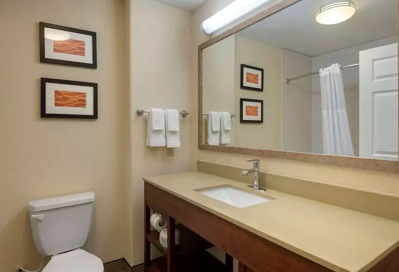 スイート, Comfort Inn & Suites, Odessa I 20