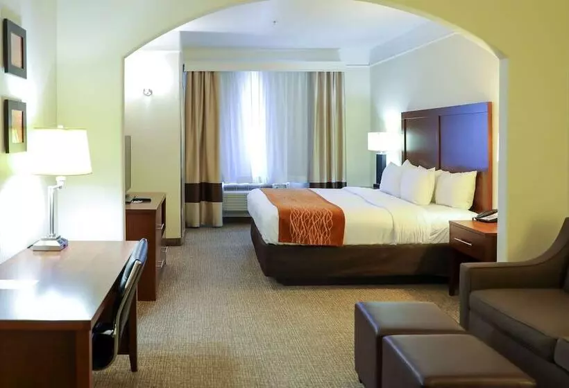 スイート, Comfort Inn & Suites, Odessa I 20