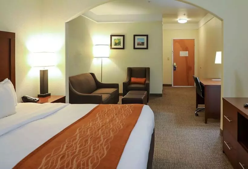 身障者適用スイートルーム, Comfort Inn & Suites, Odessa I 20