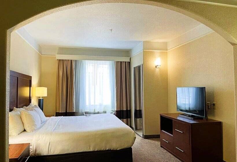 适合残疾人士使用的套间, Comfort Inn & Suites, Odessa I 20