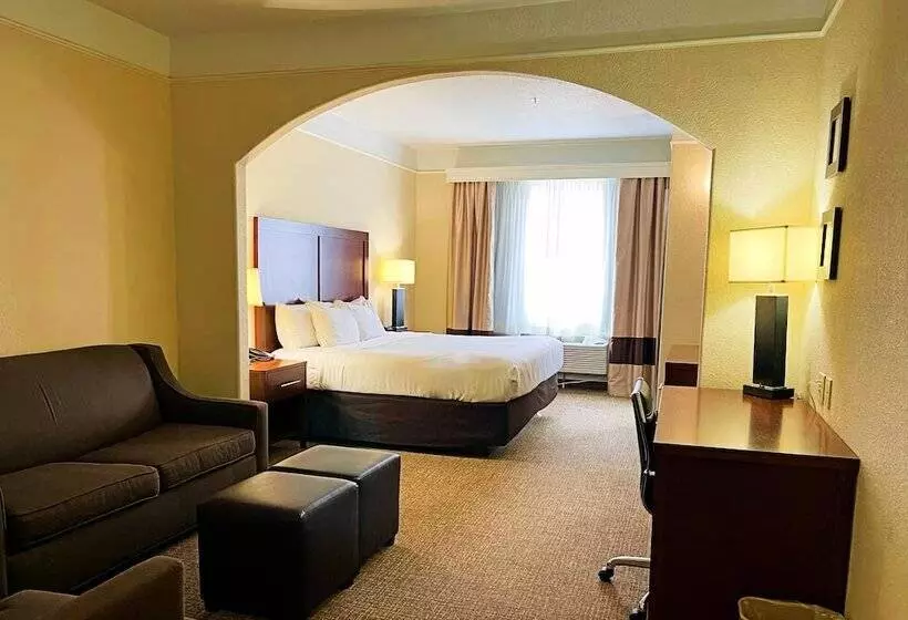 身障者適用スイートルーム, Comfort Inn & Suites, Odessa I 20