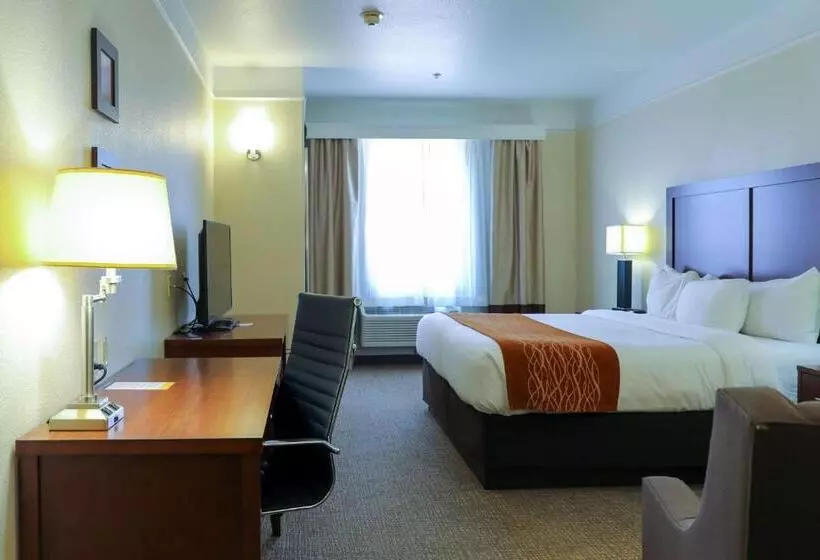 キングサイズベッドのスタンダードルーム, Comfort Inn & Suites, Odessa I 20