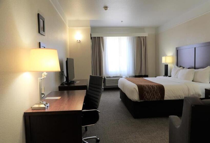带大床的标准间, Comfort Inn & Suites, Odessa I 20