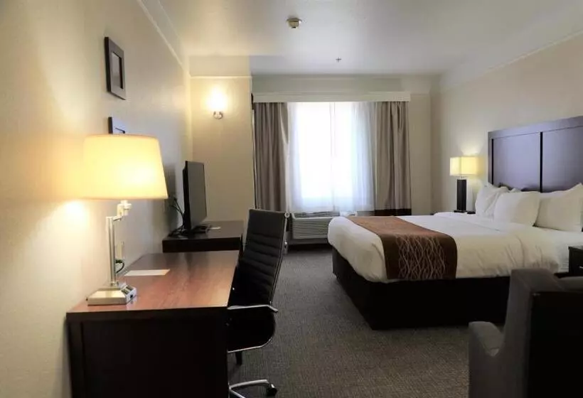 キングサイズベッドのスタンダードルーム, Comfort Inn & Suites, Odessa I 20