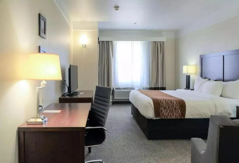 身障者適用キングサイズベッドルーム, Comfort Inn & Suites, Odessa I 20