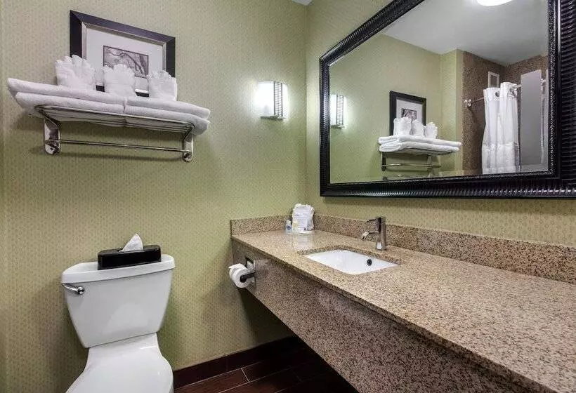 スイート, Comfort Suites Jackson I 40