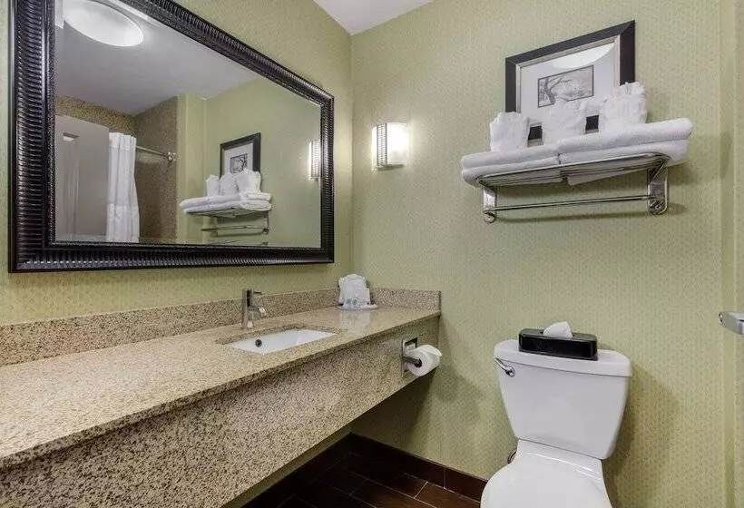 スイート, Comfort Suites Jackson I 40