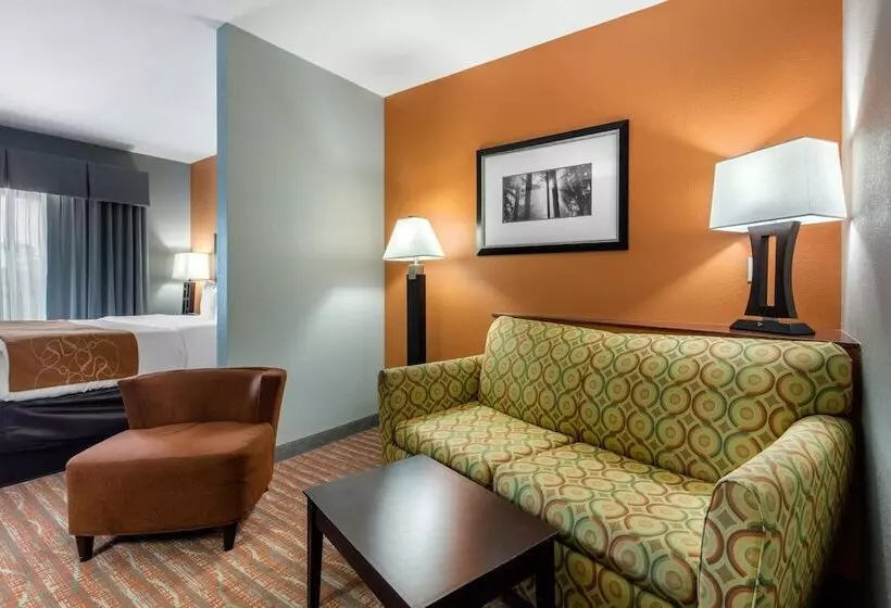 スイート, Comfort Suites Jackson I 40