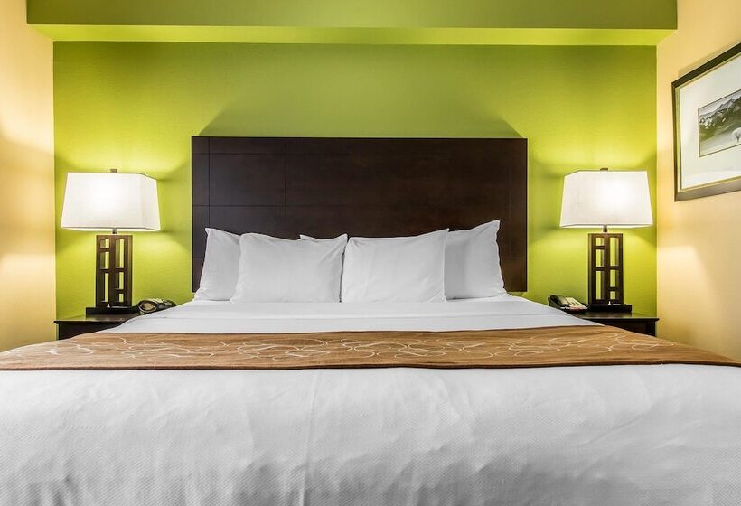 جناح, Comfort Suites Jackson I 40