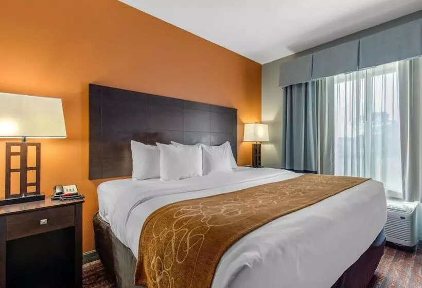 身障者適用スイートルーム, Comfort Suites Jackson I 40