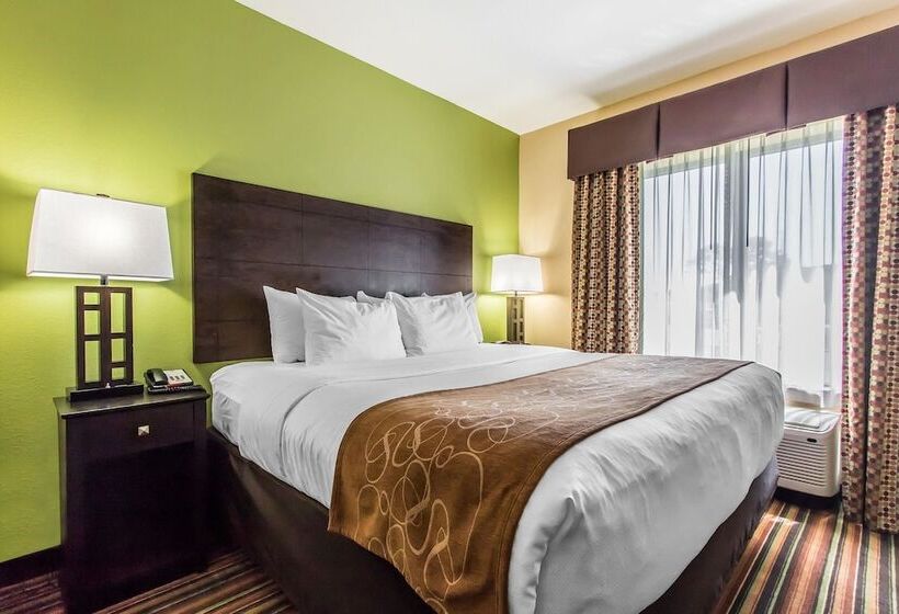 جناح لذوى الاحتياجات الخاصة, Comfort Suites Jackson I 40