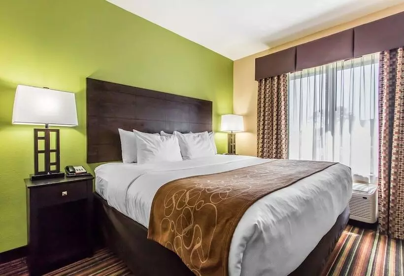 身障者適用スイートルーム, Comfort Suites Jackson I 40