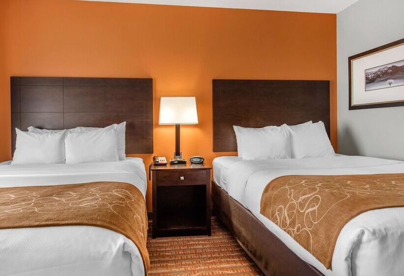 جناح لذوى الاحتياجات الخاصة, Comfort Suites Jackson I 40