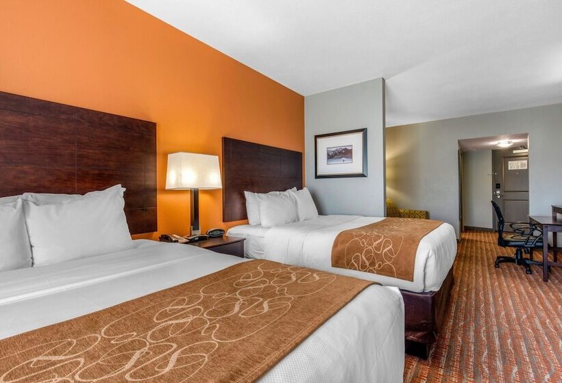 适合残疾人士使用的套间, Comfort Suites Jackson I 40