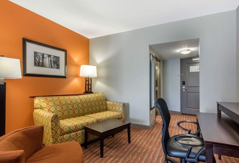 套房, Comfort Suites Jackson I 40