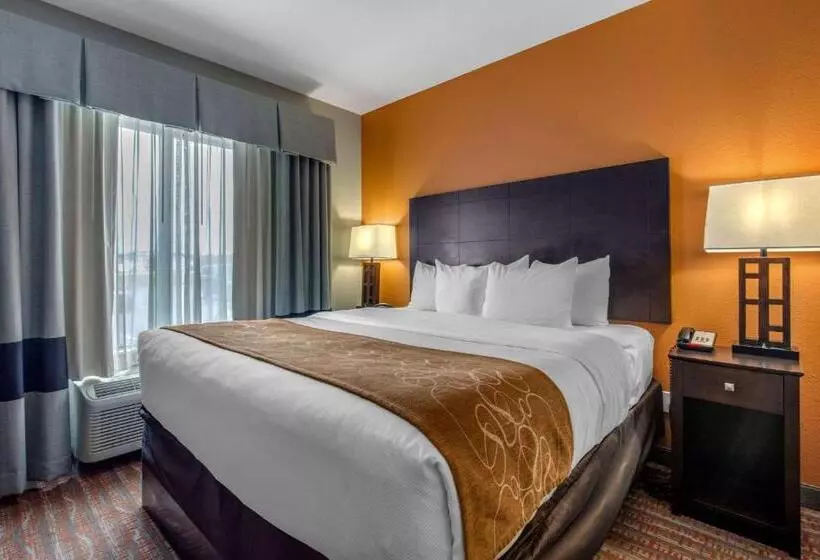 キングサイズベッドのスイートルーム, Comfort Suites Jackson I 40