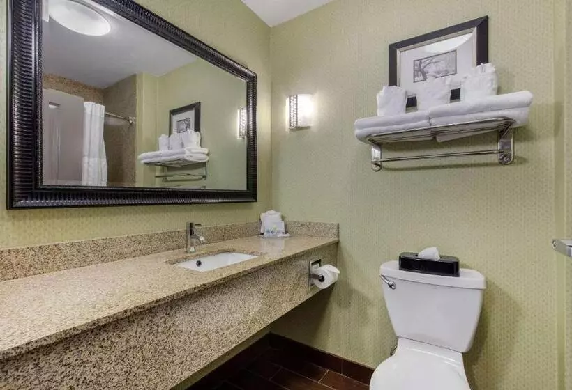 キングサイズベッドのスイートルーム, Comfort Suites Jackson I 40