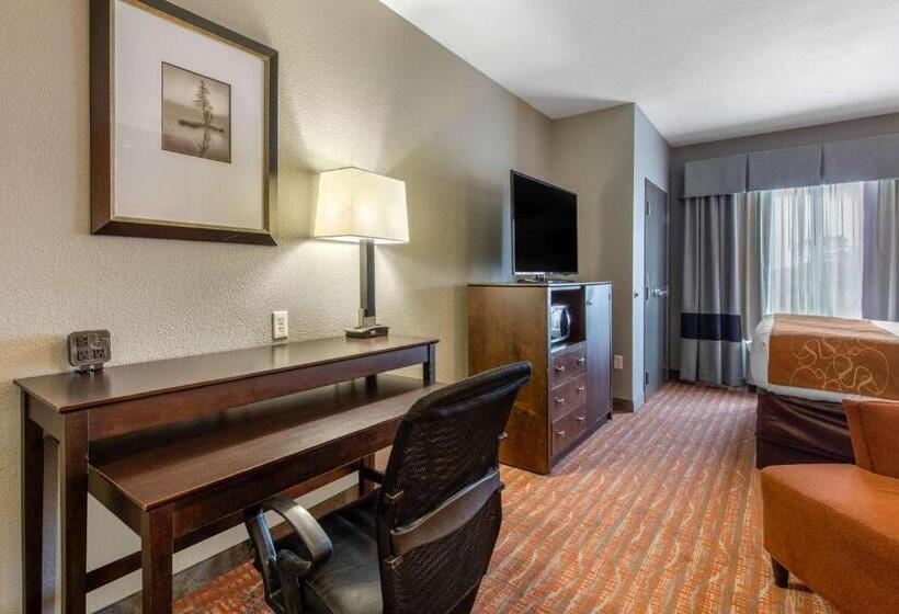 جناح سرير كينج, Comfort Suites Jackson I 40