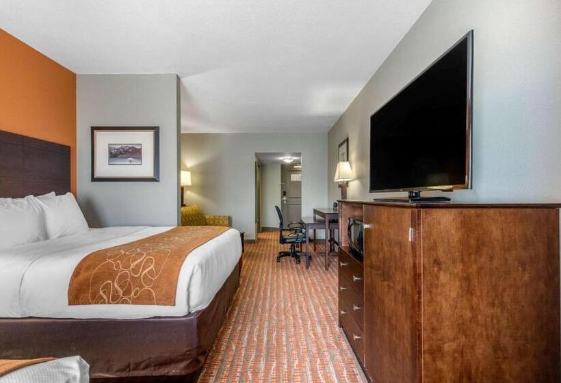 适合残疾人士使用的套间, Comfort Suites Jackson I 40