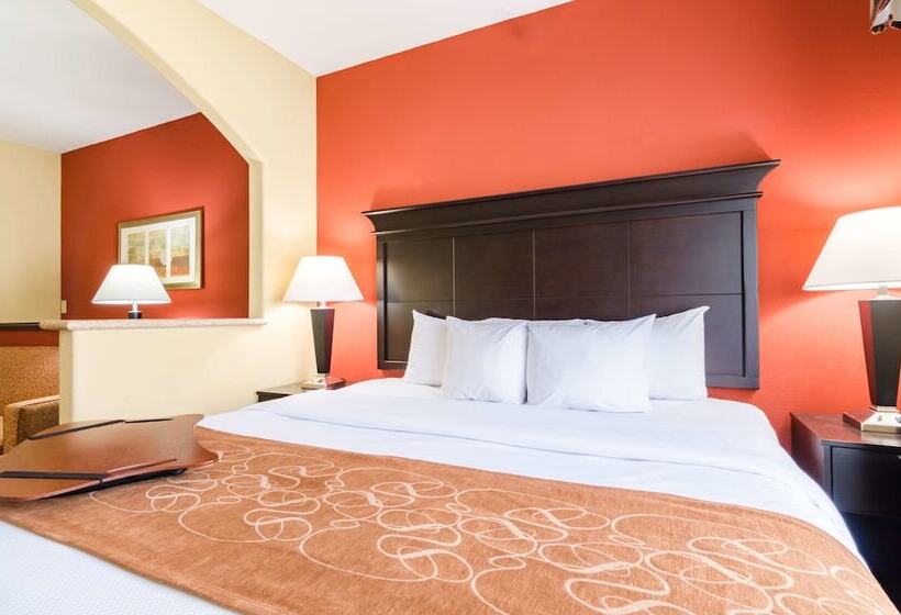 Люкс, Comfort Suites Salina South