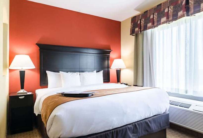 Люкс, Comfort Suites Salina South