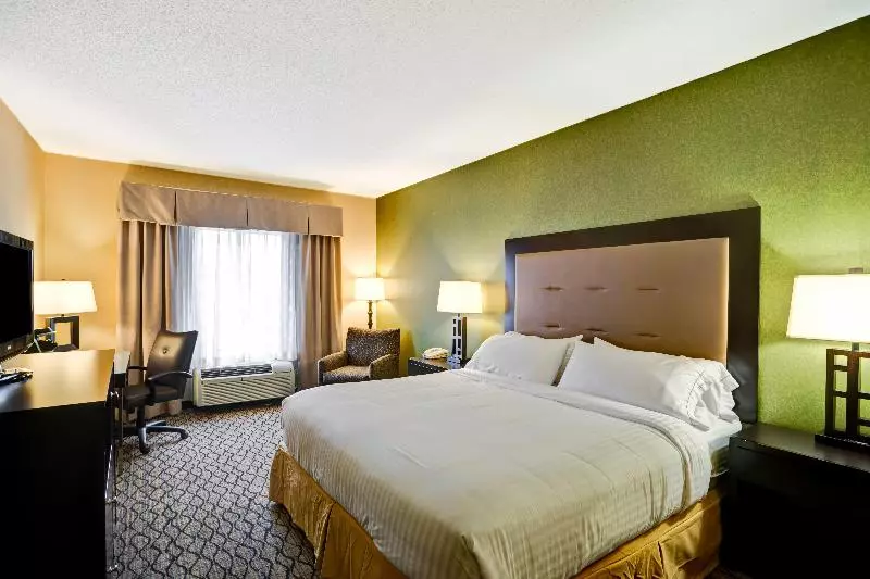 身障者適用キングサイズベッドルーム, Holiday Inn Express Hotel & Suites Christiansburg, An Ihg