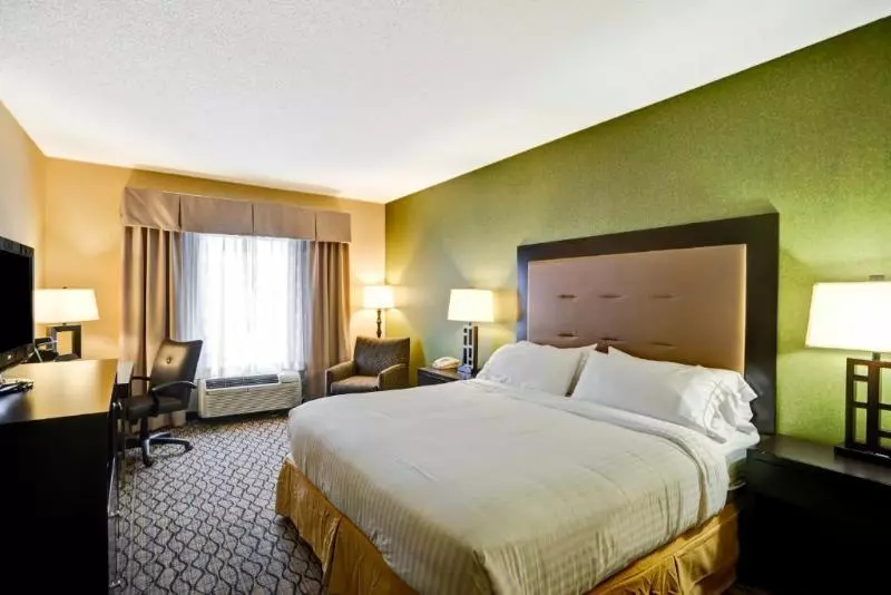身障者適用キングサイズベッドルーム, Holiday Inn Express Hotel & Suites Christiansburg, An Ihg