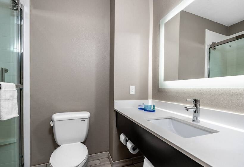 套房, Holiday Inn Express Hotel & Suites Kilgore North, An Ihg