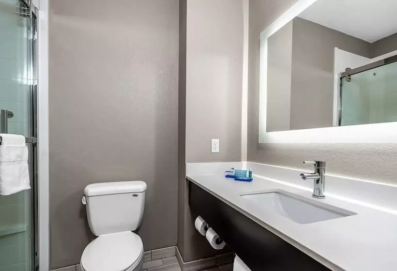 スイート, Holiday Inn Express Hotel & Suites Kilgore North, An Ihg