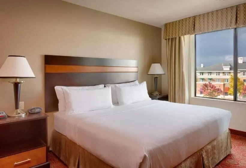 スーペリアースイート, Holiday Inn Express & Suites Orem North Provo
