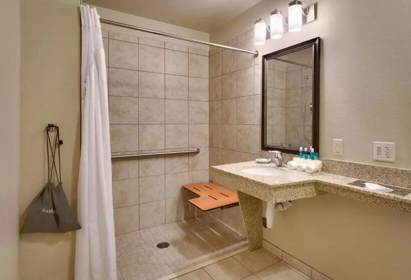 身障者適用キングサイズベッドルーム, Holiday Inn Express & Suites Orem North Provo