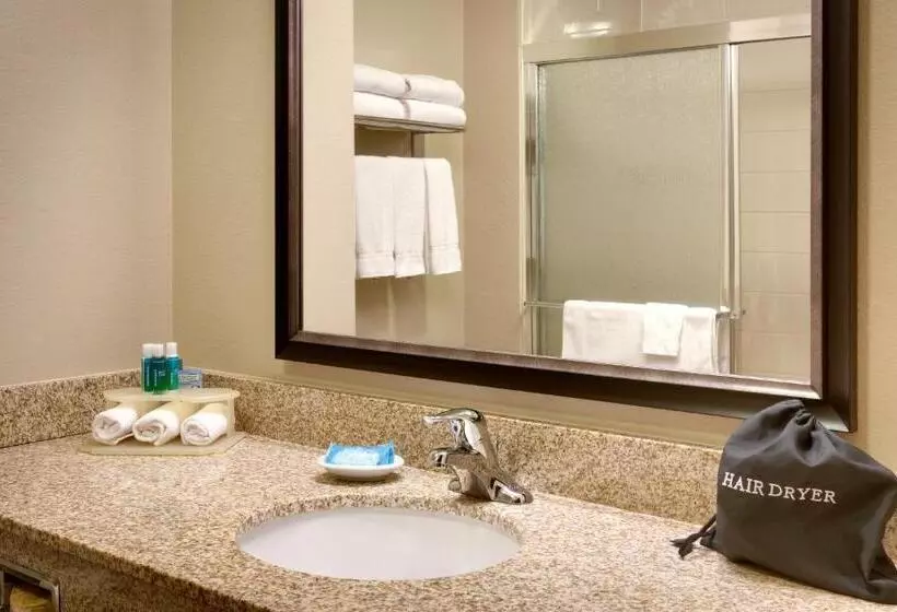 キングサイズベッドのスタンダードルーム, Holiday Inn Express & Suites Orem North Provo