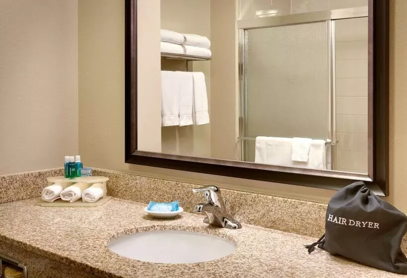 スイート, Holiday Inn Express & Suites Orem North Provo