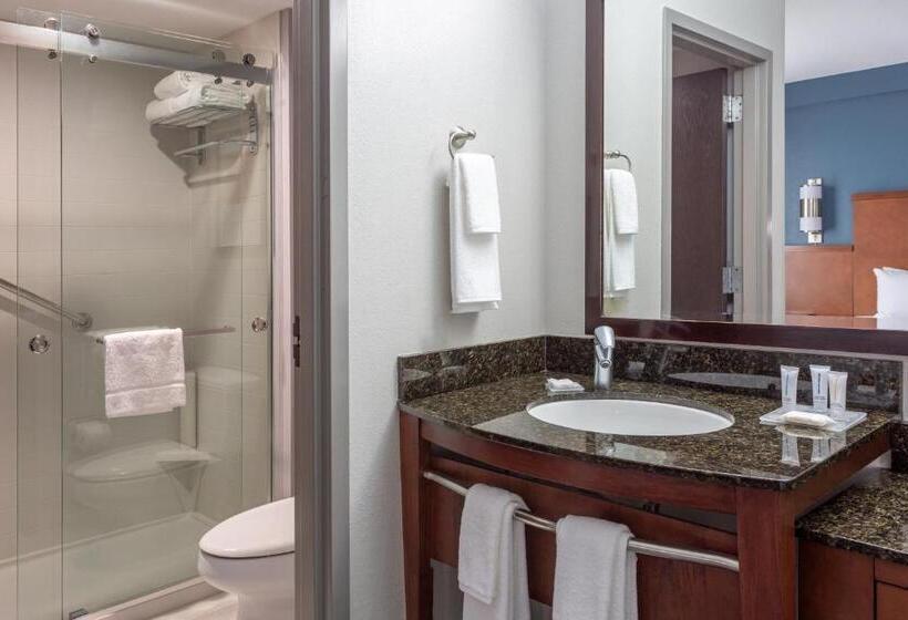 Стандартный Номер Кровать Кинг, Hyatt Place Columbus North