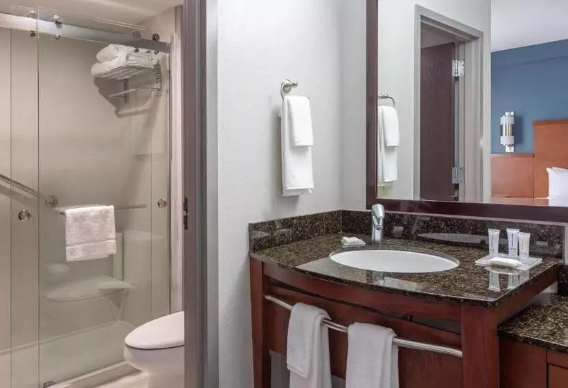 اتاق استاندارد با تخت بزرگ, Hyatt Place Columbus North
