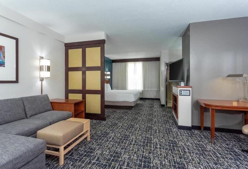 Стандартный Номер Кровать Кинг, Hyatt Place Columbus North