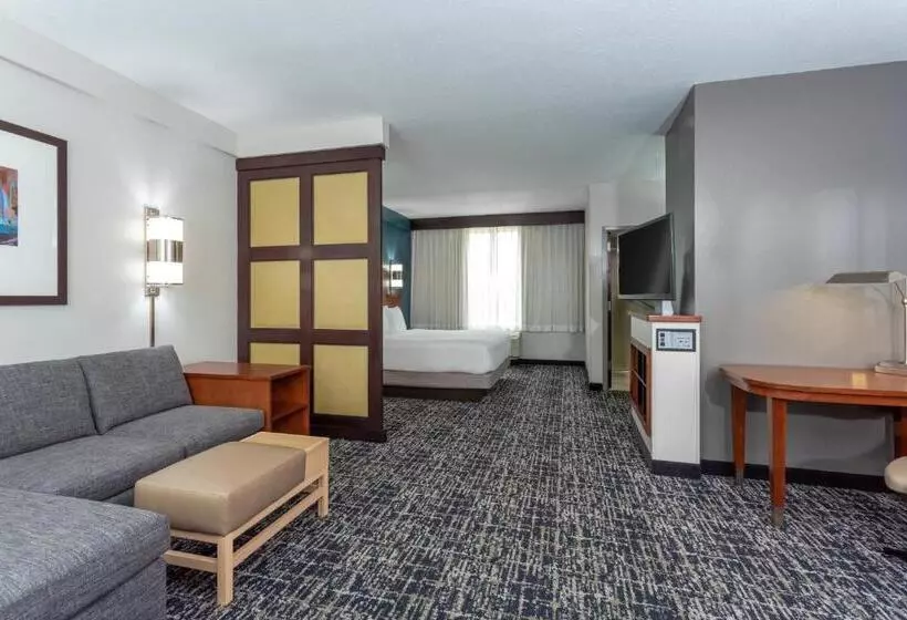 اتاق استاندارد با تخت بزرگ, Hyatt Place Columbus North