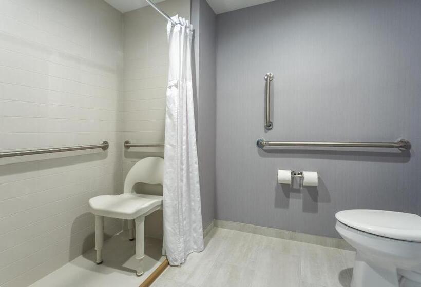 Номер Стандарт Кровать Кинг Адаптированный для Инвалидов, Hyatt Place Columbus North