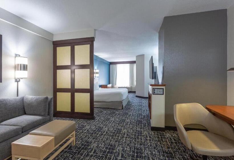 Номер Стандарт Кровать Кинг Адаптированный для Инвалидов, Hyatt Place Columbus North