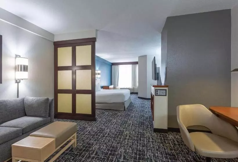 اتاق استاندارد با تخت بزرگ برای معلولان, Hyatt Place Columbus North