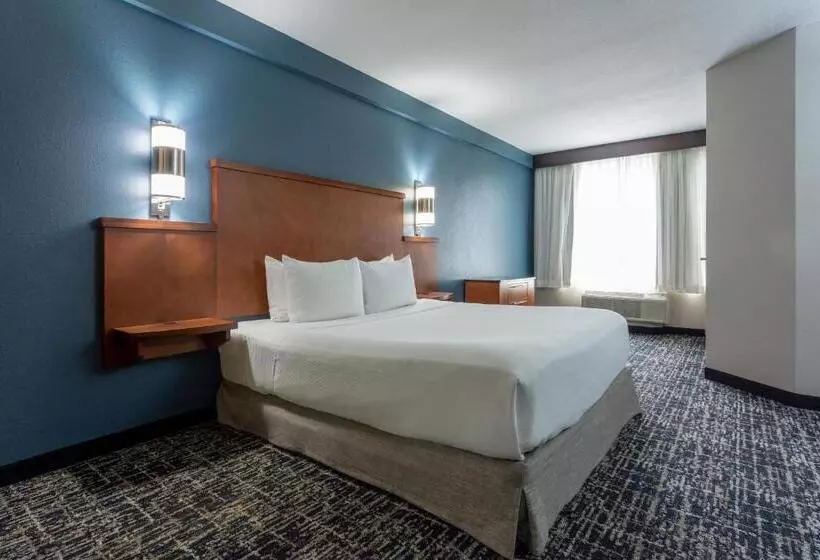 اتاق استاندارد با تخت بزرگ برای معلولان, Hyatt Place Columbus North