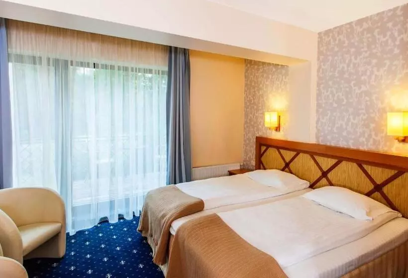 Superior Room with Terrace, Park Villa